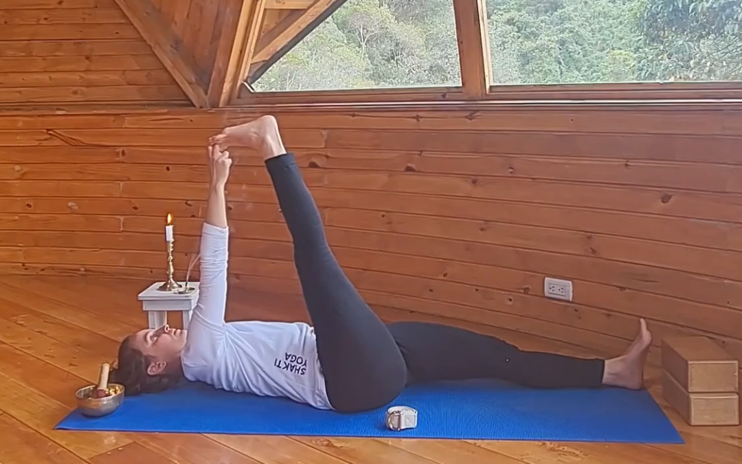 Shanti Shakti Yoga – Desde el Ashram Caminantes del Amanecer