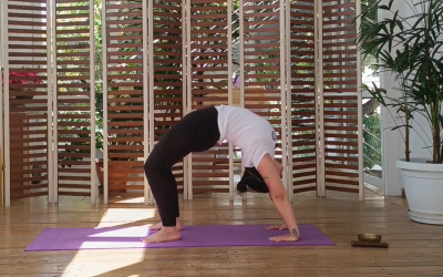 Profundización en Chakrasana – Padma Shakti Yoga