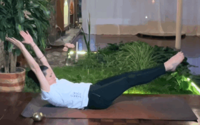 Profundización en Merudandasana – Padma Shakti Yoga