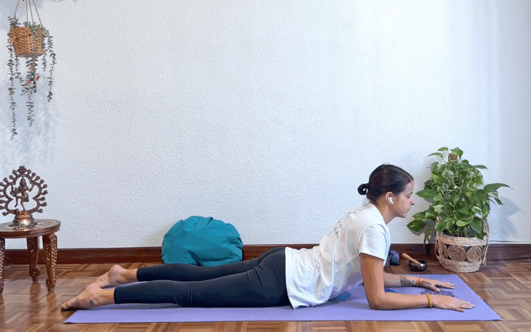 Shanti Shakti Yoga – Desde España