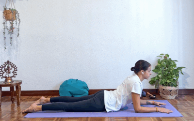 Shanti Shakti Yoga – Desde España