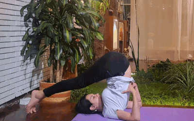 Profundización en Sarvangasana y Halasan – Padma Shakti Yoga