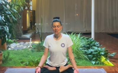 Profundización en Padmasana – Padma Shakti Yoga