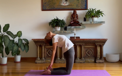 Atma Shakti Yoga – Desde Ecuador