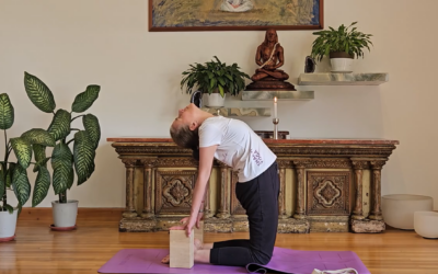 Shanti Shakti Yoga – Desde la Morada del Colibrí