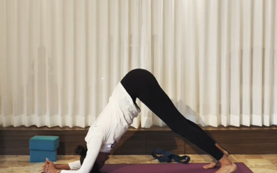 Profundización en Sirsasana